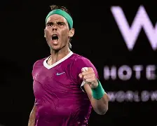 星空体育app-纳达尔与70激战掘金分钟今夜夏洛特黄蜂刷新队史纪录之后，夏洛特黄蜂今晚刷新队史纪录的简单介绍